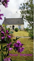 Photo numero 47529009 du bien UBI470315144